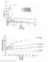 Fig. 05 - Methods of treating diabetes mellitus