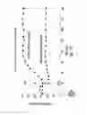 Fig. 13 - Methods of treating diabetes mellitus