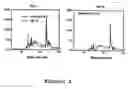 Fig. 02 - Calcium phosphate nanoclusters and their applications
