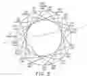 Fig. 04 - Conformationally stabilized cell adhesion peptides