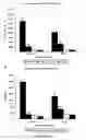 Fig. 14 - Method for enhancing bone formation