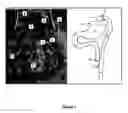 Fig. 02 - Compositions and methods for modulating body weight and treating obesity-related disorders