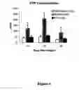 Fig. 05 - Compositions and methods for modulating body weight and treating obesity-related disorders