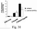 Fig. 32 - Inactivation resistant factor VIII