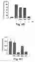 Fig. 15 - Anti-inflammatory compounds and uses thereof