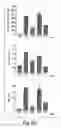 Fig. 16 - Anti-inflammatory compounds and uses thereof