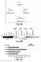 Fig. 18 - Anti-inflammatory compounds and uses thereof