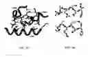 Fig. 04 - P21 derived peptides and uses thereof