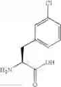 Fig. 08 - P21 derived peptides and uses thereof