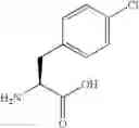 Fig. 09 - P21 derived peptides and uses thereof