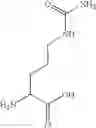 Fig. 12 - P21 derived peptides and uses thereof