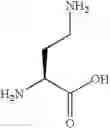 Fig. 14 - P21 derived peptides and uses thereof