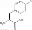 Fig. 16 - P21 derived peptides and uses thereof