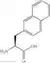 Fig. 22 - P21 derived peptides and uses thereof