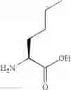 Fig. 23 - P21 derived peptides and uses thereof