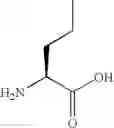 Fig. 24 - P21 derived peptides and uses thereof