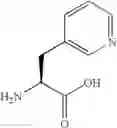 Fig. 29 - P21 derived peptides and uses thereof