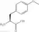Fig. 33 - P21 derived peptides and uses thereof