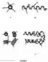 Fig. 03 - Porphyrin derivatives