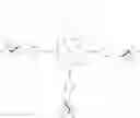 Fig. 20 - Porphyrin derivatives