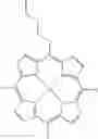 Fig. 27 - Porphyrin derivatives