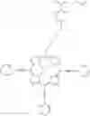 Fig. 71 - Porphyrin derivatives