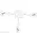 Fig. 87 - Porphyrin derivatives