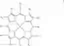 Fig. 93 - Porphyrin derivatives