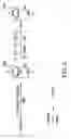 Fig. 03 - Crystalline sugar compositions and method of making
