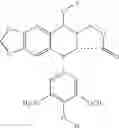 Fig. 13 - Podophyllotoxin