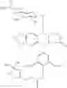 Fig. 19 - Podophyllotoxin