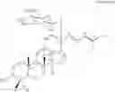 Fig. 07 - METHOD FOR REGULATING NUTRIENT ABSORPTION WITH GINSENOSIDES
