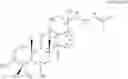 Fig. 09 - METHOD FOR REGULATING NUTRIENT ABSORPTION WITH GINSENOSIDES