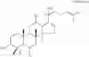 Fig. 10 - METHOD FOR REGULATING NUTRIENT ABSORPTION WITH GINSENOSIDES