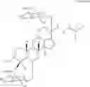 Fig. 12 - METHOD FOR REGULATING NUTRIENT ABSORPTION WITH GINSENOSIDES