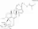 Fig. 13 - METHOD FOR REGULATING NUTRIENT ABSORPTION WITH GINSENOSIDES