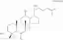 Fig. 20 - METHOD FOR REGULATING NUTRIENT ABSORPTION WITH GINSENOSIDES
