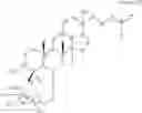 Fig. 23 - METHOD FOR REGULATING NUTRIENT ABSORPTION WITH GINSENOSIDES