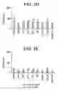 Fig. 05 - Compositions and methods of use of derivatized flavanols