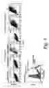Fig. 10 - Inhibition of gene expression using RNA interfering agents