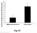 Fig. 04 - STAT3 decoy oligonucleotides and uses therefor