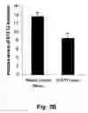 Fig. 06 - STAT3 decoy oligonucleotides and uses therefor