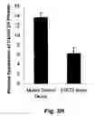 Fig. 10 - STAT3 decoy oligonucleotides and uses therefor