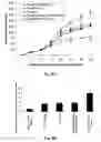 Fig. 14 - STAT3 decoy oligonucleotides and uses therefor