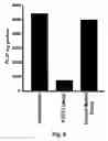 Fig. 20 - STAT3 decoy oligonucleotides and uses therefor