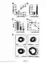 Fig. 02 - Phosphodiesterase 4D in the ryanodine receptor complex protects against heart failure