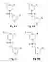 Fig. 02 - Antisense antiviral compounds and methods for treating foot and mouth disease