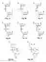 Fig. 03 - Antisense antiviral compounds and methods for treating foot and mouth disease