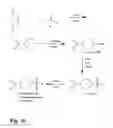 Fig. 11 - Antisense antiviral compounds and methods for treating foot and mouth disease