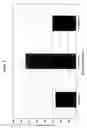 Fig. 09 - RNA interference mediated inhibition of gene expression using chemically modified short interfering nucleic acid (siNA)